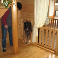 佛犬用出入り口