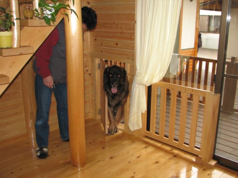 佛犬用出入り口