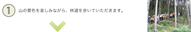 の景色を楽しみながら、林道を歩いていただきます