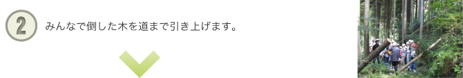 みんなで倒した木を道まで引き上げます