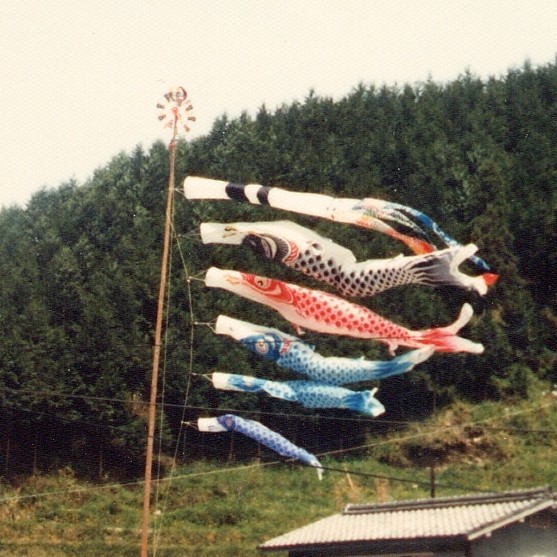 koinobori1Ｒ