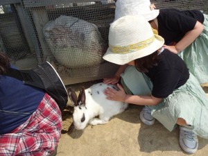 ハーベスト20160515 (6)