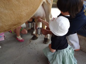 ハーベスト20160515 (8)