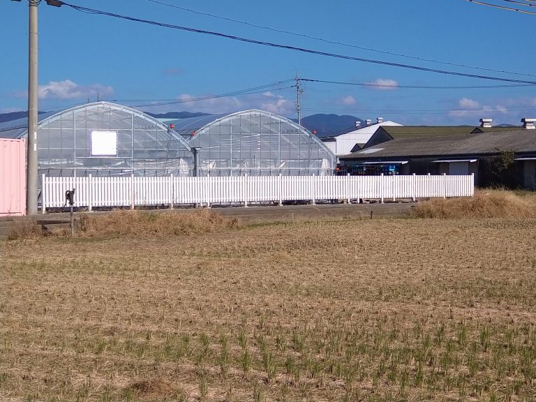 観光農園　木製フェンス