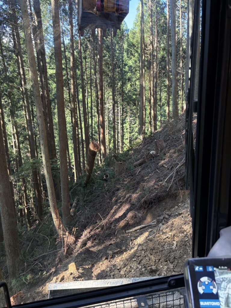 道なき山から始まる森づくり